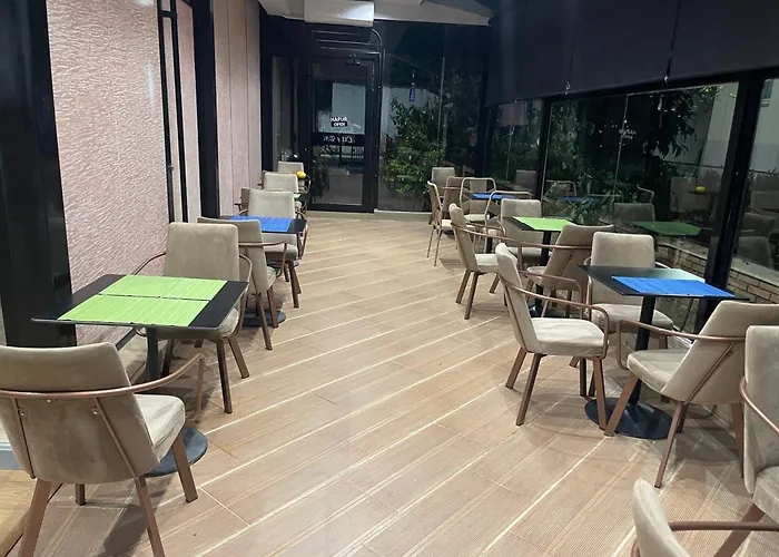 Center 地拉那